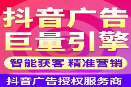 信息流广告的精准定位与效果优化案例分析