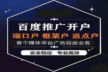 百度竞价托管运营策略案例分析